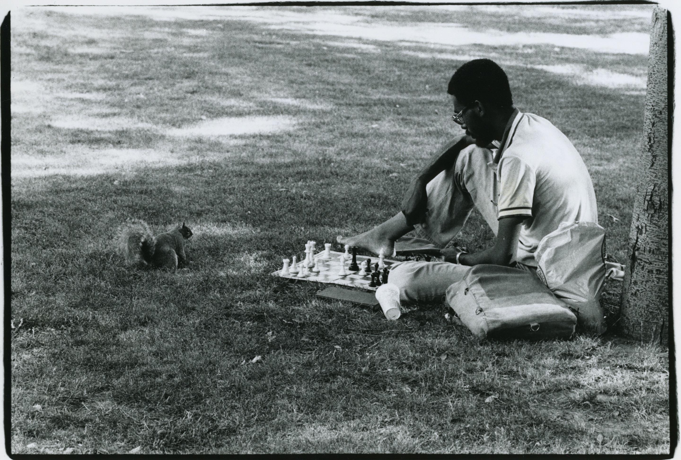 Solo chess, 1984